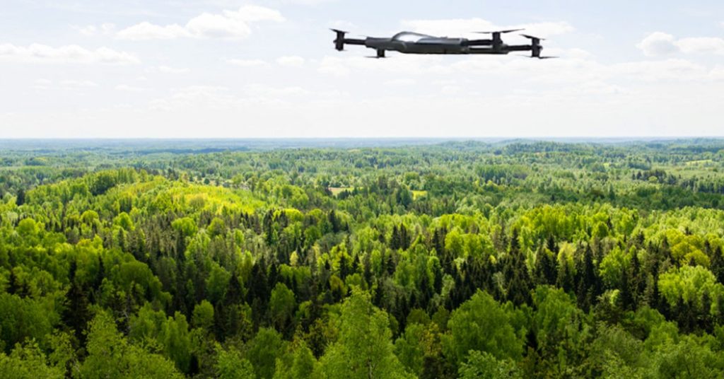 Preserving Our Forests: How Drones are Revolutionizing Conservation Efforts