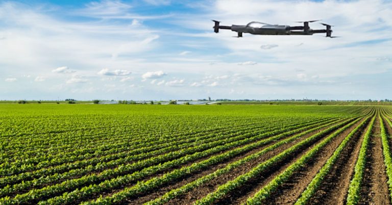 Top 7 Benefits of Using Drones and Their Role in Agriculture