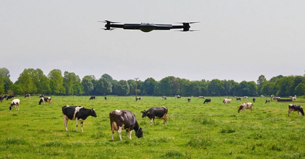 The Best Smart Drone Features for Tracking Cattle